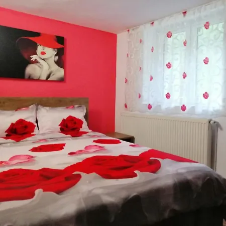 Апартаменти Apartament Ursul Balu
